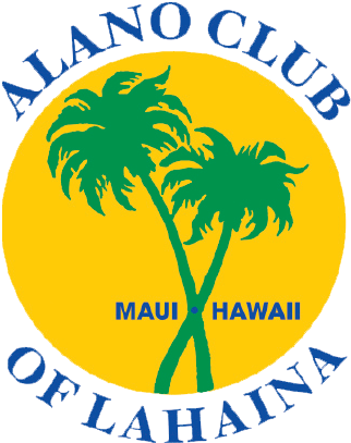 Alano Club - St. Martin West Indies Palm Oval Bumper Sticker (350x430)