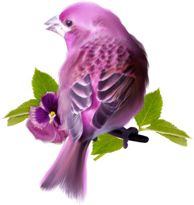 Dessin Tube Aigrette - American Rosefinches (450x456)