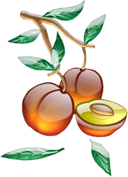 Great Tubes Fruits With Confiture Dessin Couleur - Mirabelle Clipart (416x572)