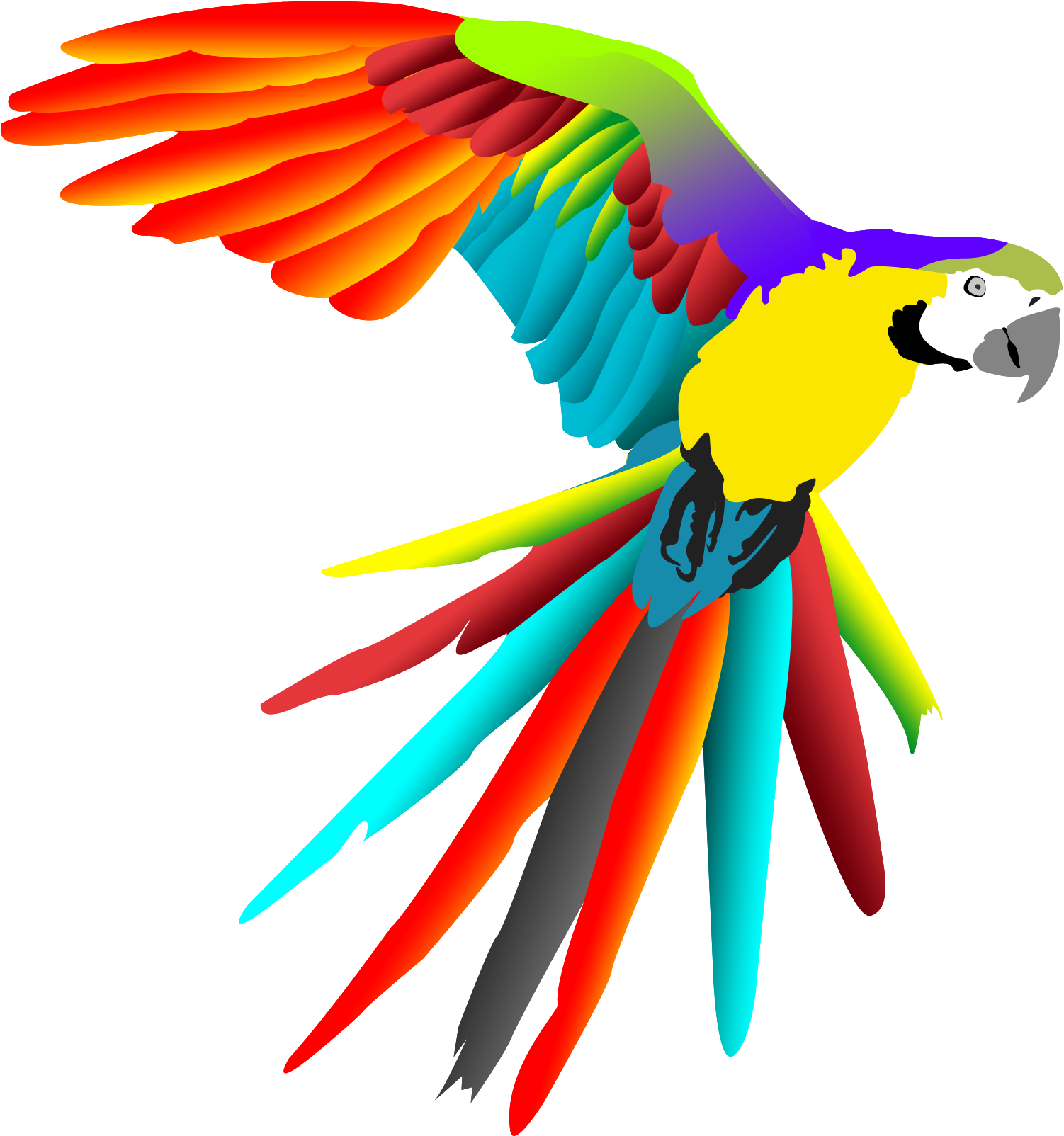 Dessin De Oiseau En Couleur Dernier Collection Vectoperroquetv3g - Coloring Book (2936x2267)