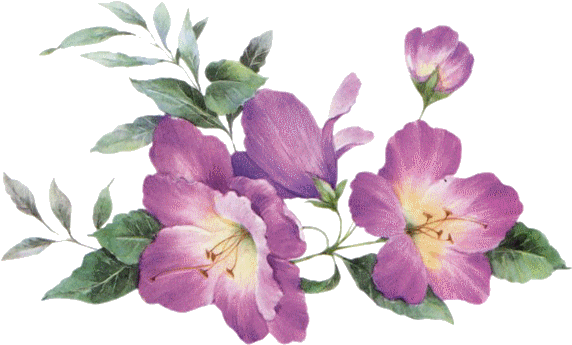 Fleur Couleur Mauve With Pilounette Fleur - Fleurs De Couleur Mauve (600x408)