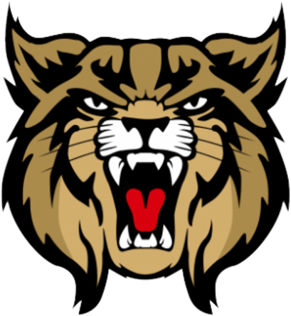 Brookings Logo - Brookings High School Bobcats (480x480)