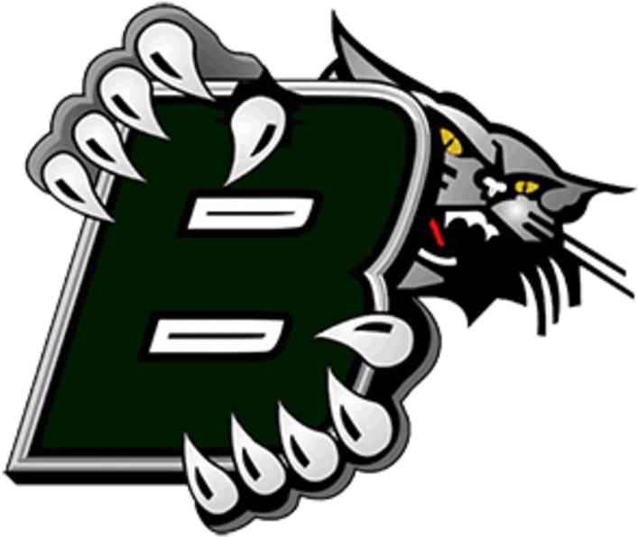 Blum Logo - Breathitt County High School (720x607)