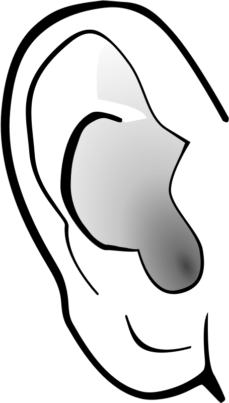 Ear Clipart - Ear Clipart (800x800)