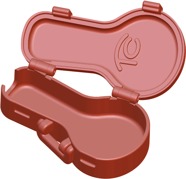 Mandolin Case 001 - Mandolin (600x600)