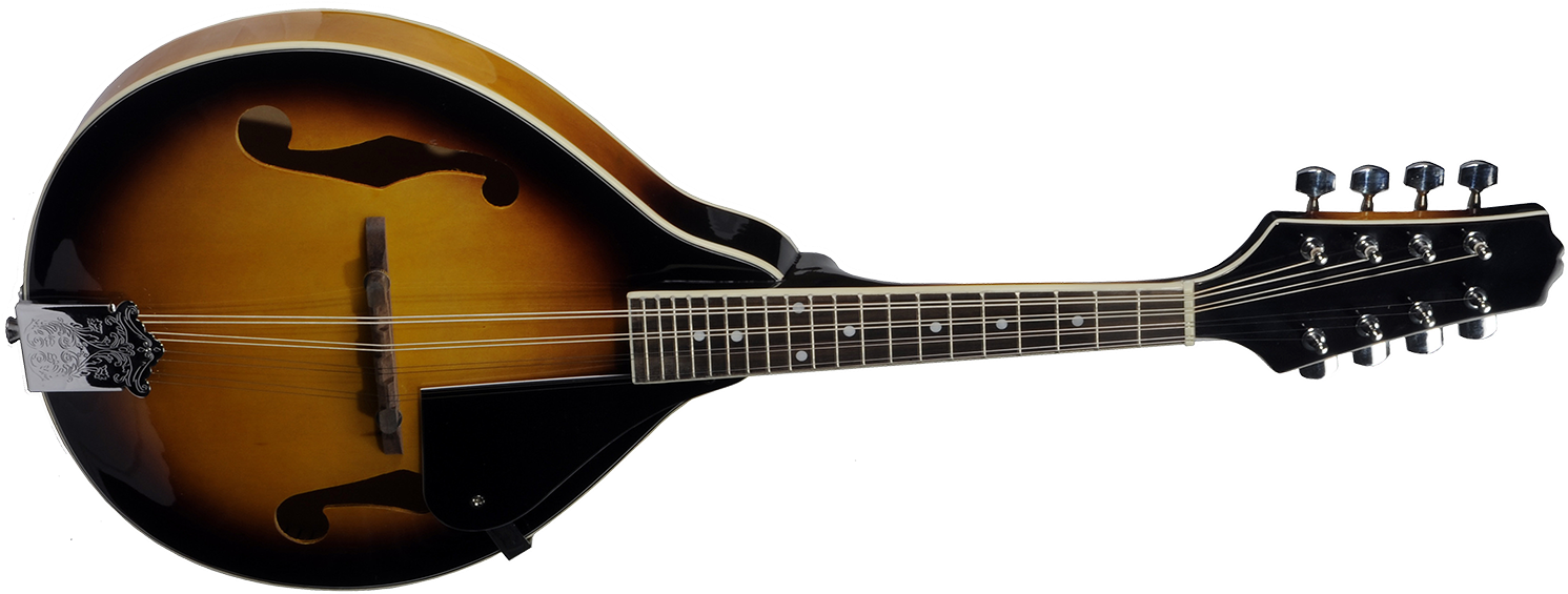 Oscar Schmidt - Acoustic/electric Mandolin Om10ets (1500x595)