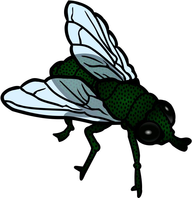 Top 68 Fly Clip Art - Transparent Flies Clip Art (783x800)