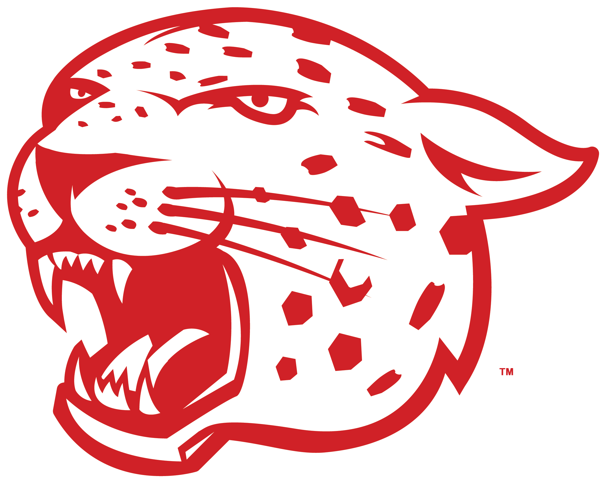 Leopard Jaguar Drawing Logo Clip Art - East High Leopards Football (3027x2550)