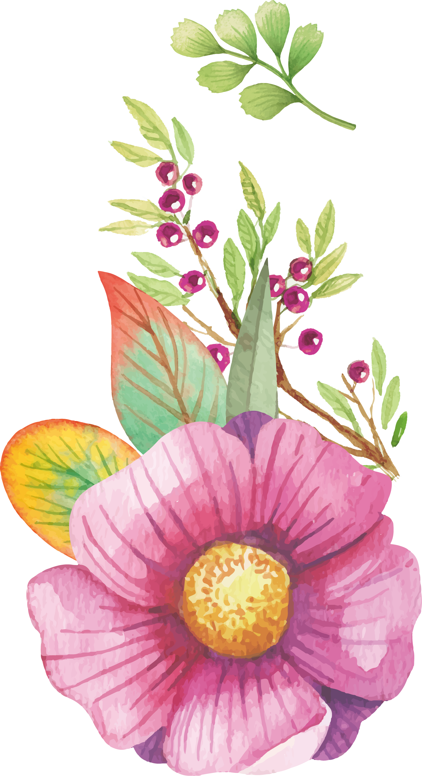 Watercolour Flowers Watercolor Painting Clip Art - Watercolor Floral Clip Art (1369x2516)