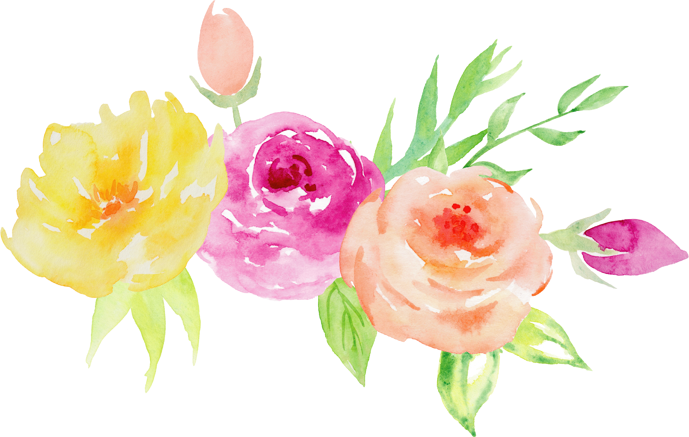 Garden Roses Watercolor Painting Floral Design Flower - 真夏 の 花束 イラスト 無料 (2233x1418)