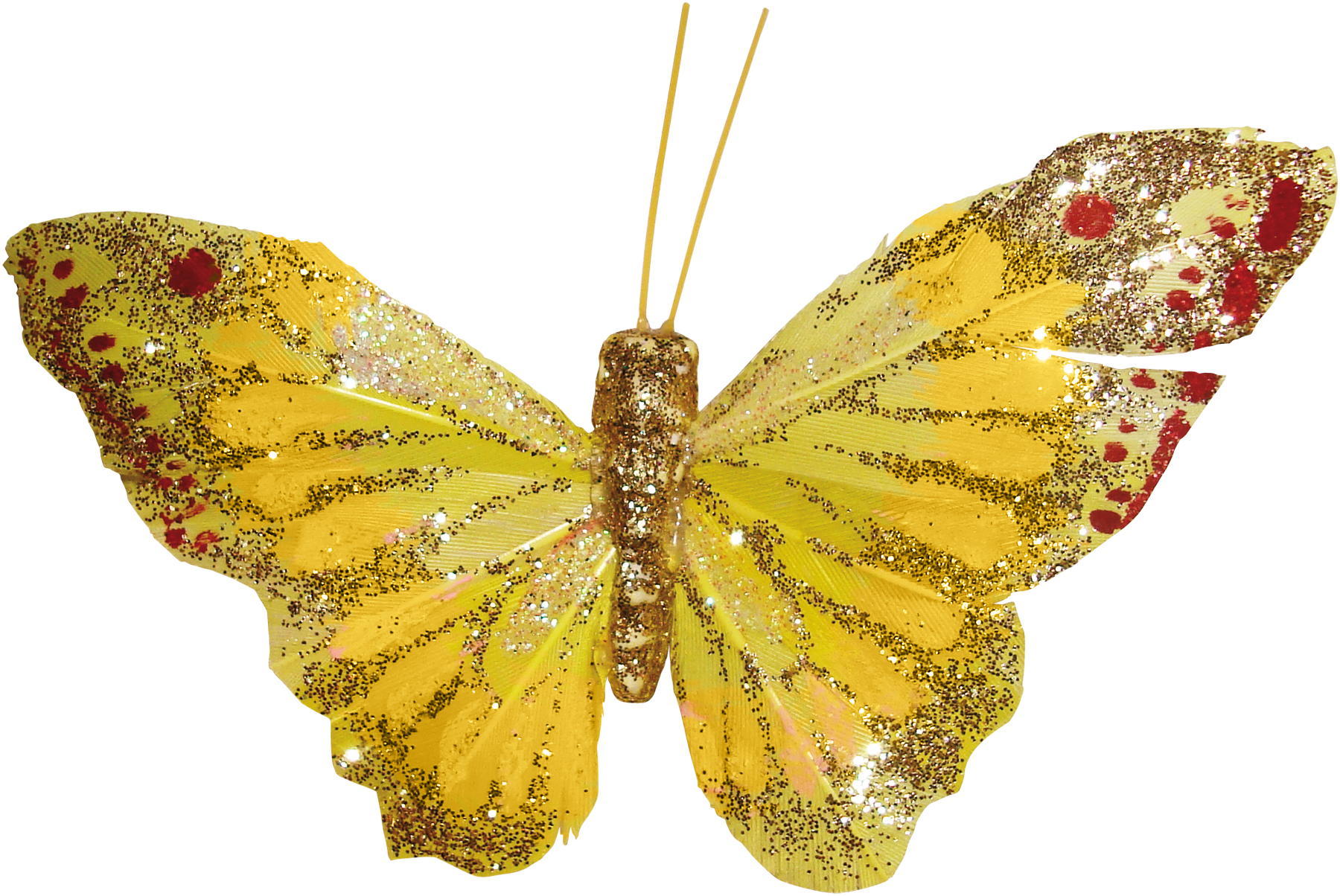 Colias Monarch Butterfly Moth Nymphalidae - Silver-washed Fritillary (1800x1204)