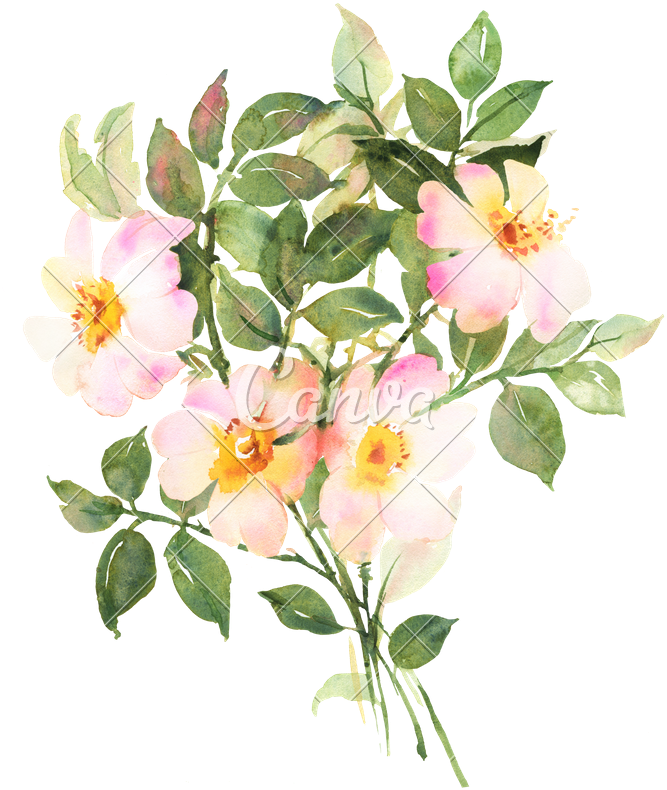 Botanical Watercolor Painting - Botanical Watercolor Painting Flowers (675x800)