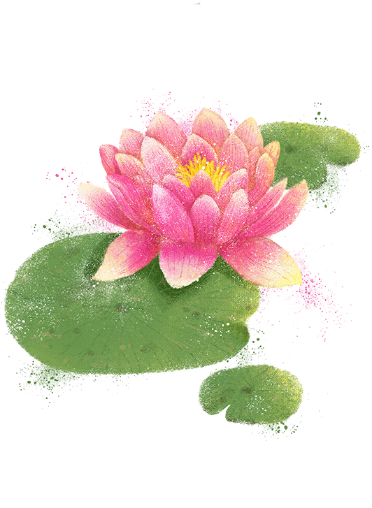 Watercolor Painting Illustration - Lotus Png (650x938)