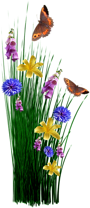 Spring, Flowers, Grass, Meadow, Plant, Garden, Nature - Aswb Supreme Decorative Butterfly And Flowers Welcome (360x720)