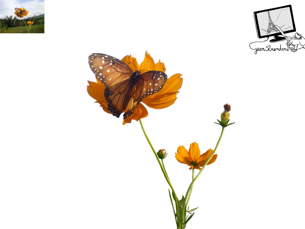 Butterfly By Jean52 - Orange Lily (1024x768)