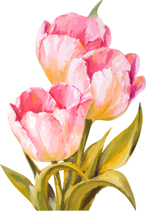 Tubes Fleurs - Watercolor Flowers (500x723)