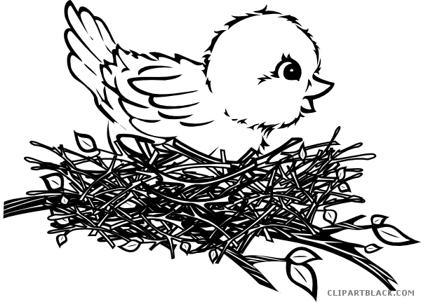 Black And White Chick Animal Free Black White Clipart - Bird In Nest Drawing (600x431)