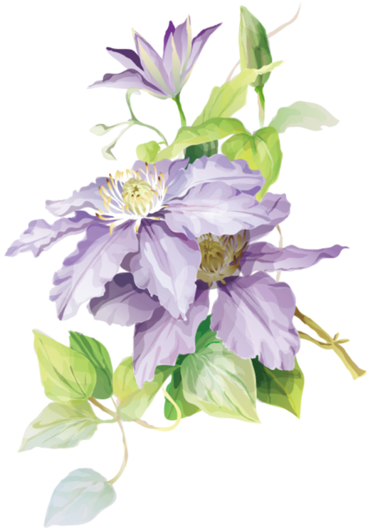 Watercolor Painting Art Drawing - Htl21 Htc J Butterfly【2個以上 送料無料】プリント布ケース フラワー Htl21 (585x800)