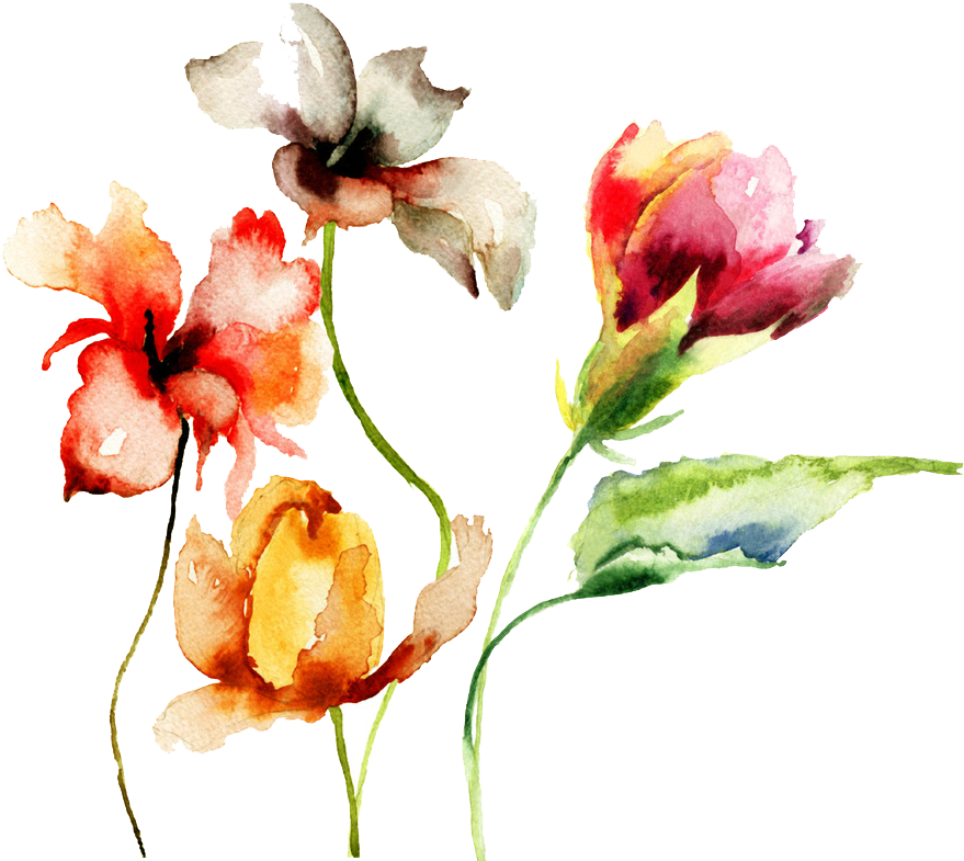 Paper Watercolor Painting Drawing Flower - Floral Sky: 120-page Compact Journal With Watercolor (1024x959)