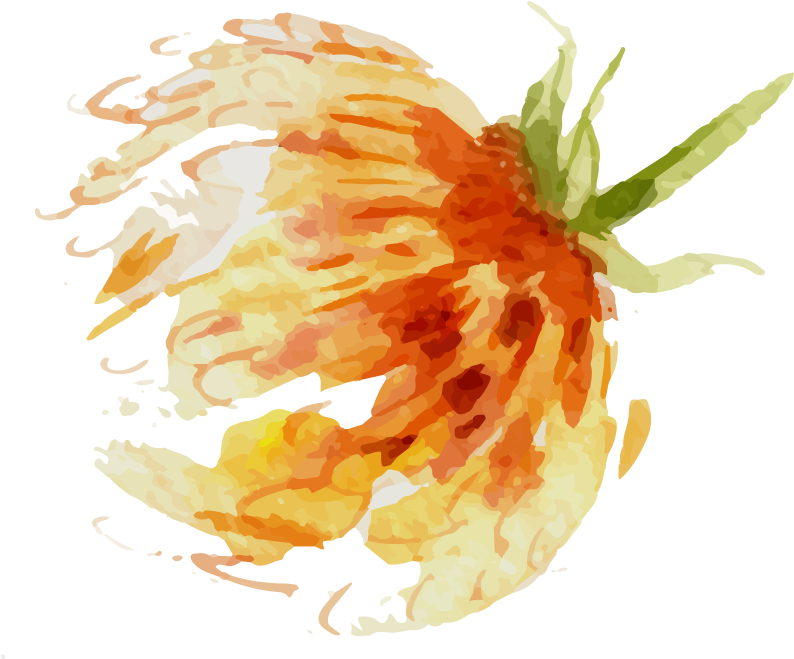 Watercolour Flowers Watercolor Painting Oil Painting - Tronchetto Della Felicita' 'janet Graig Compacta ' (800x800)