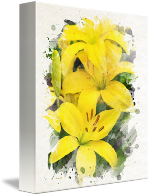 Thank You - Lilies - Watercolor Painting Card (494x650)