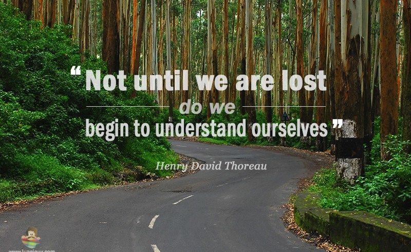 Moutan Peony Watercolor Painting Ink Wash Painting - Garden (800x491)