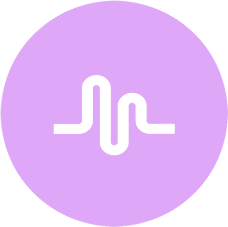 Holyfans99 Musically Account Profile Photo - Musical Ly (512x512)