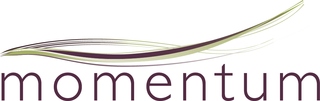 Momentum Coaching Momentum Coaching - Coaching (1088x346)