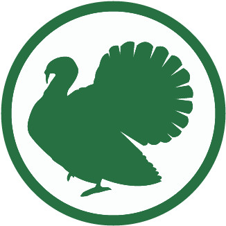 Turkey-icon - Pharmaceutical Drug (375x375)