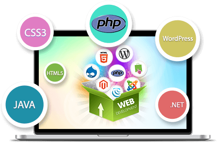 Our Team Of Skilled In Php Web Development And Is Capable - Website Development (590x493)