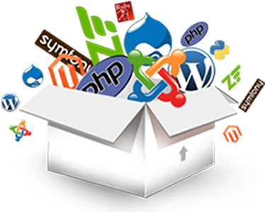 Cms Website Development - Website Development Icon Png (388x348)