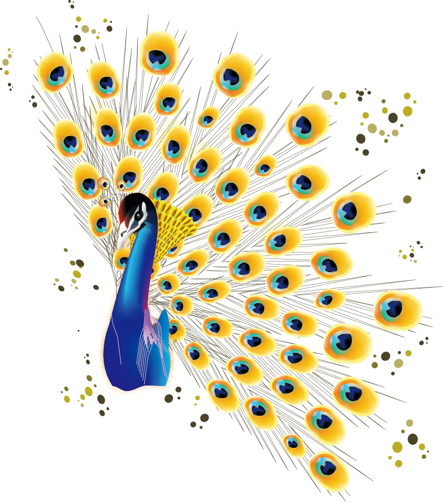 Bird Peafowl Cartoon - Vogelpfau Mit Buntem Federn Geschirrtuch (884x1000)