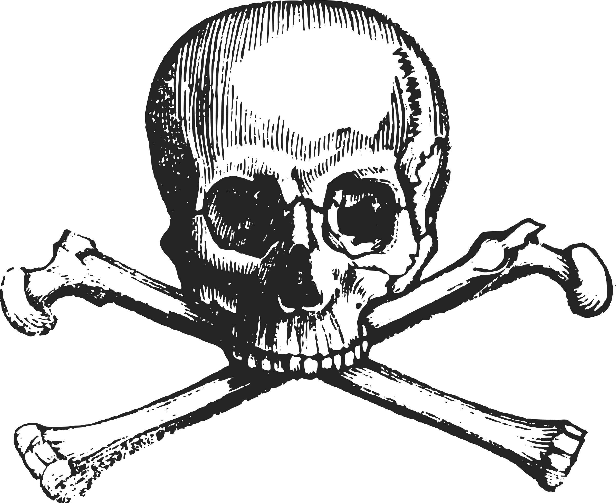 Poison Skull And Crossbones (2400x1960)