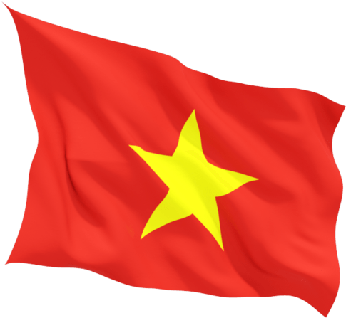 Vietnam Flag Wave - Viet Nam Flag Png (640x480)