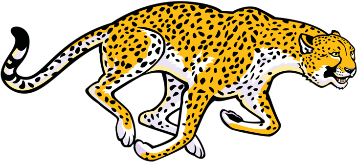 Cheetah Black And White Clip Art - African Animals Clip Art (800x416)