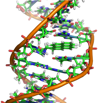 Biology - Biological Molecules (400x400)