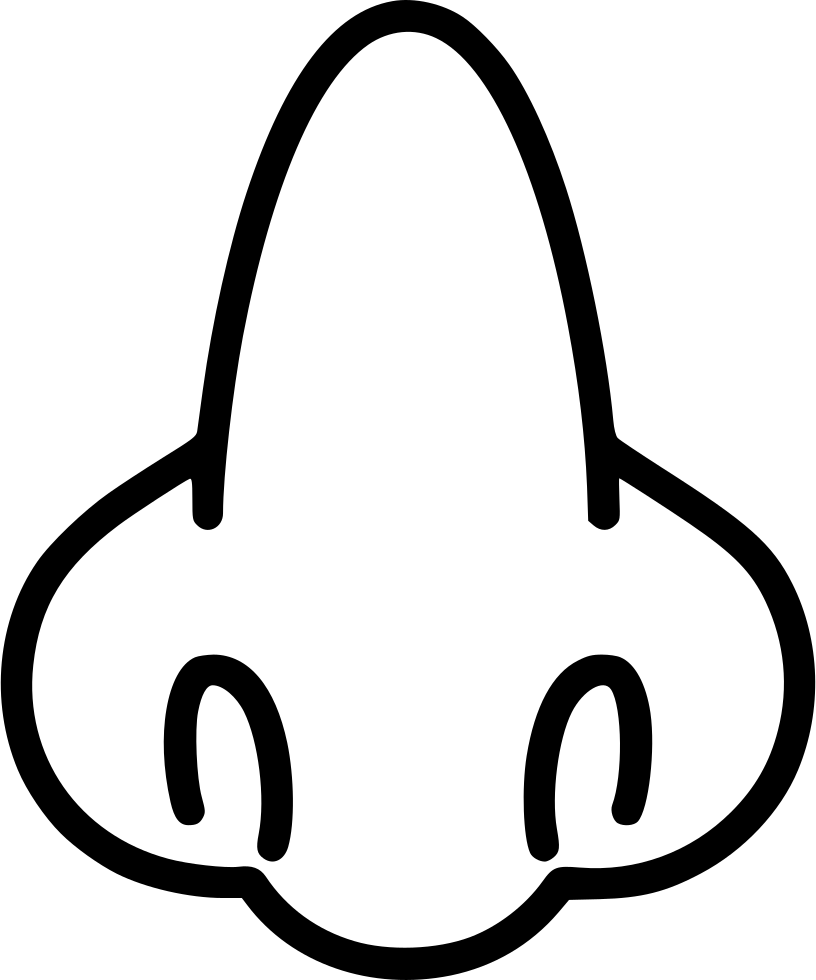 Nose Full Face Biology Anatomy Medicine Comments - Anatomy (816x980)