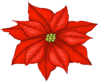 Single Poinsettia - Flower By Birth Month (400x400)