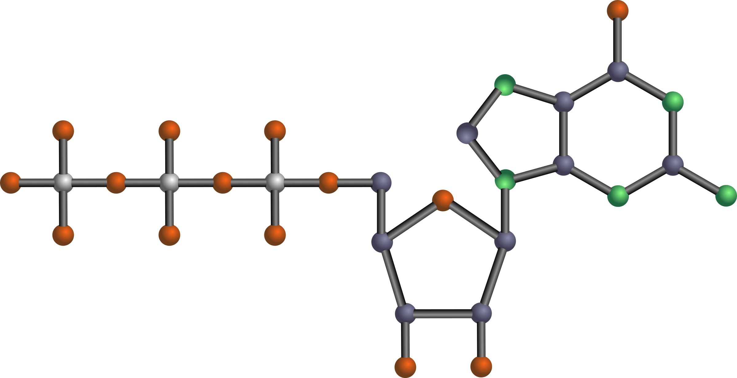 Big Image - Biology Facts And Principles 2 (speedy Study Guides) (2400x1232)