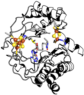 Biology,"frontiers In Metallobiochemistry" - Biology,"frontiers In Metallobiochemistry" (361x400)