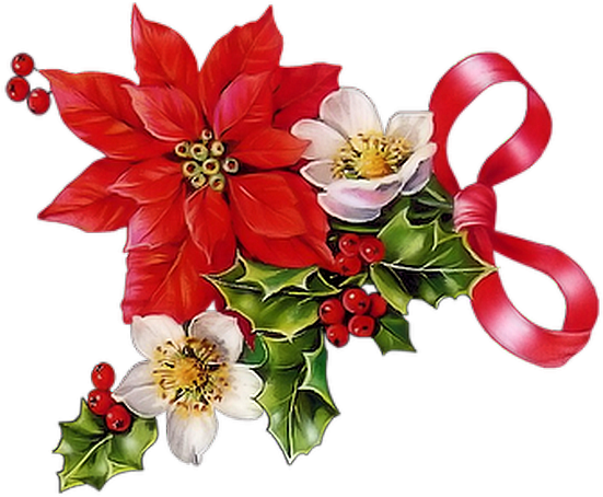 Christmas Poinsettia, Merry Christmas, Christmas Images, - Frases De Feliz Natal (656x512)