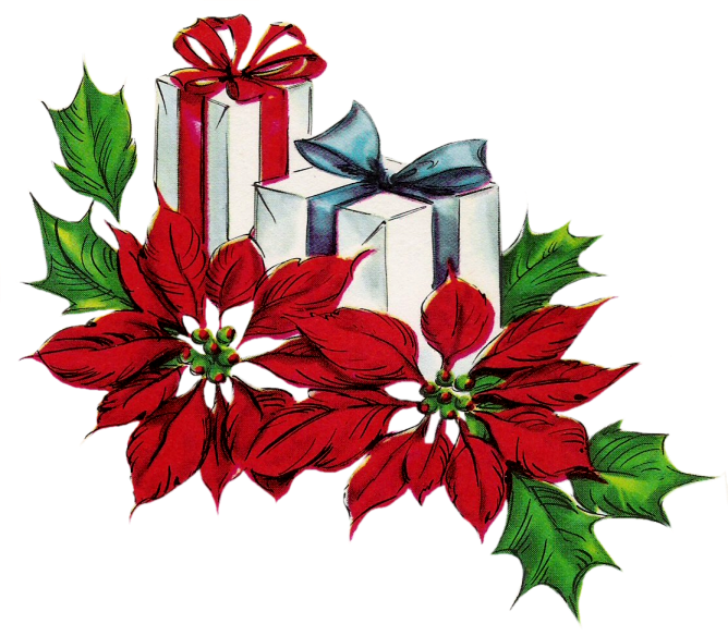 Poinsettias - Poinsettias (668x584)