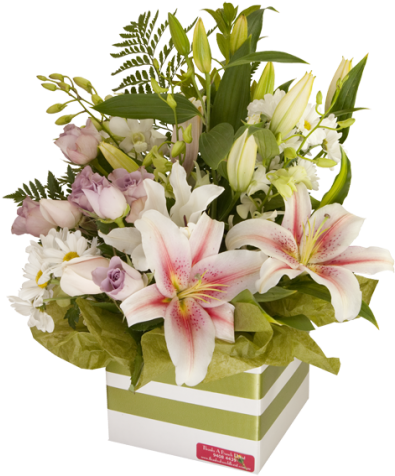 Pastel Lily Sympathy - Photography (500x500)
