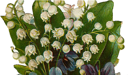 Leaping Frog Designs - Leaping Frog Designs (485x255)