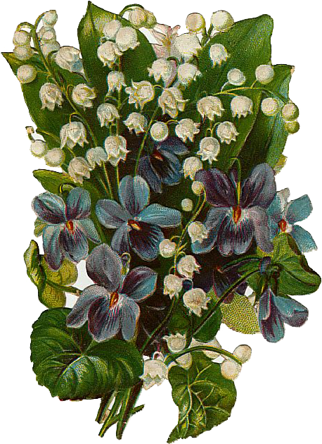 Leaping Frog Designs - Boho Lily Of The Valley Necklace (485x651)