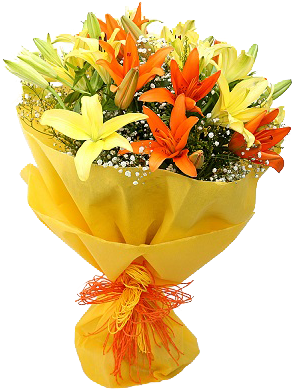 Bunch Of 12 Mixed Colour Asiatic Lilies - Bouquet Of Lily Flowers (428x428)