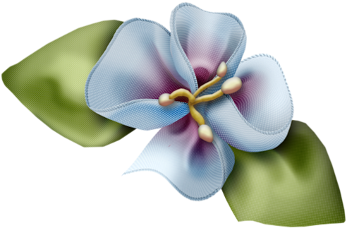 0 5a99e Bae89f57 Xl - Frames (500x334)