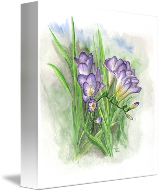 Lily Of The Valley (538x650)