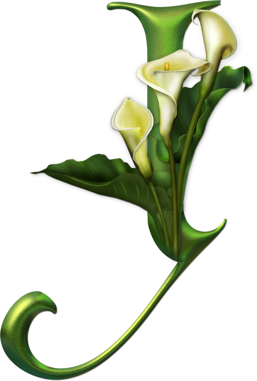 Alphabet Art, Special Letters, Numbers, Png, Caligraphy, - Alphabet (852x1264)