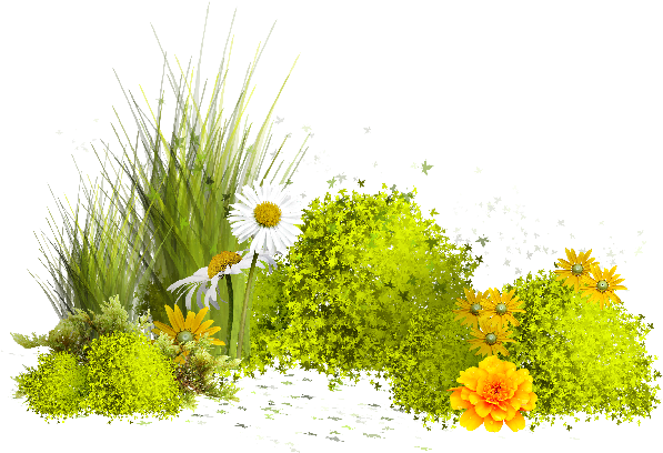 Easter Lilys - Bitki Gifleri (600x416)